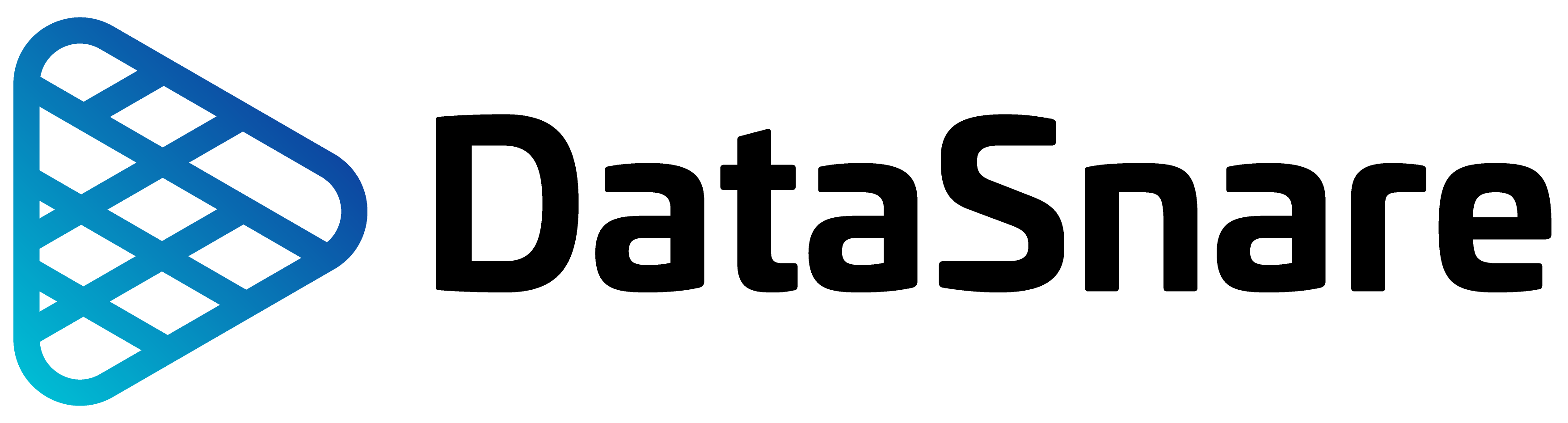 Datasnare Logo